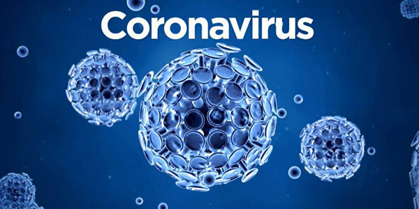 Test rápido Covid-19 Coronavirus